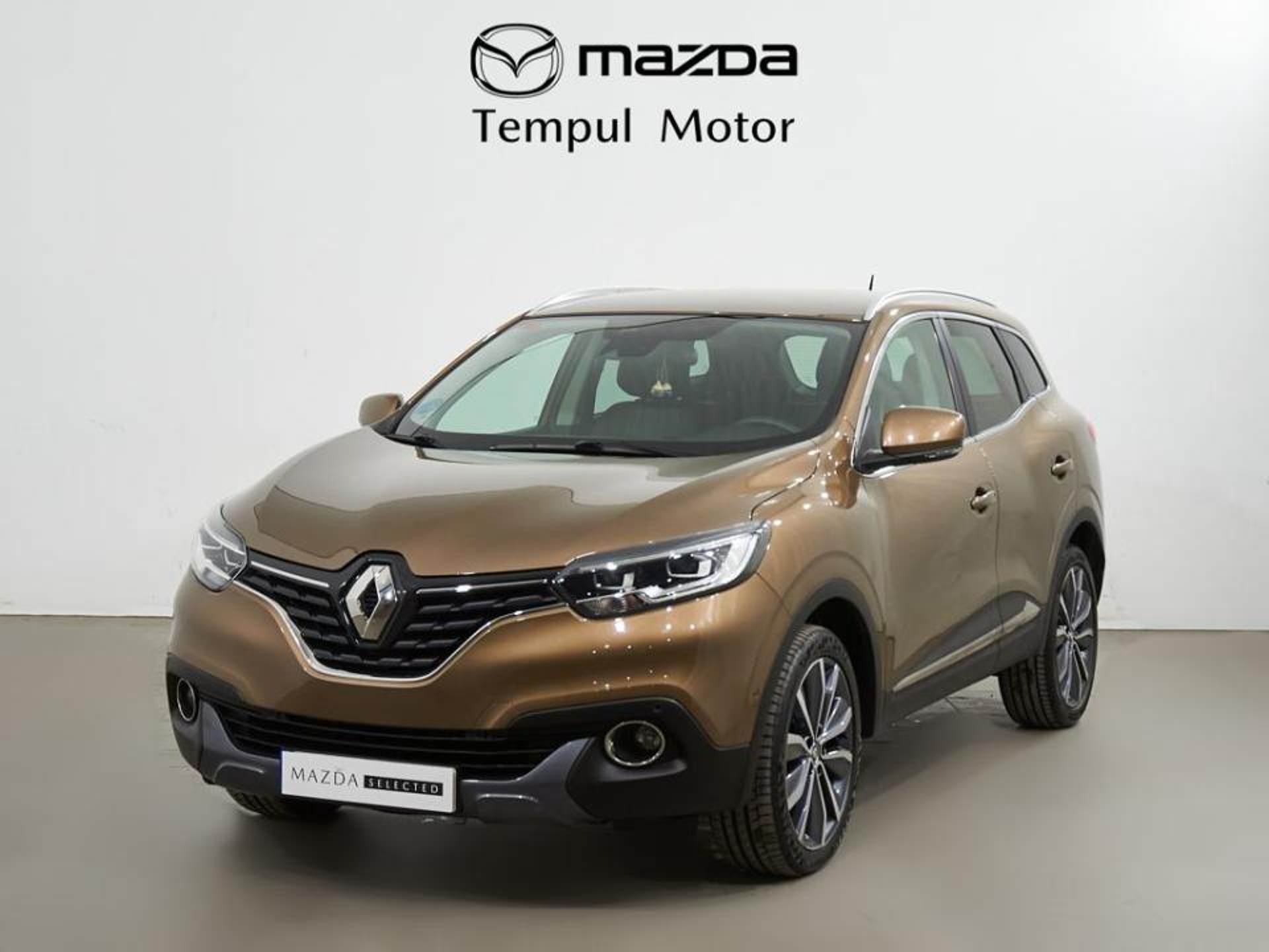 Imagen de RENAULT Kadjar