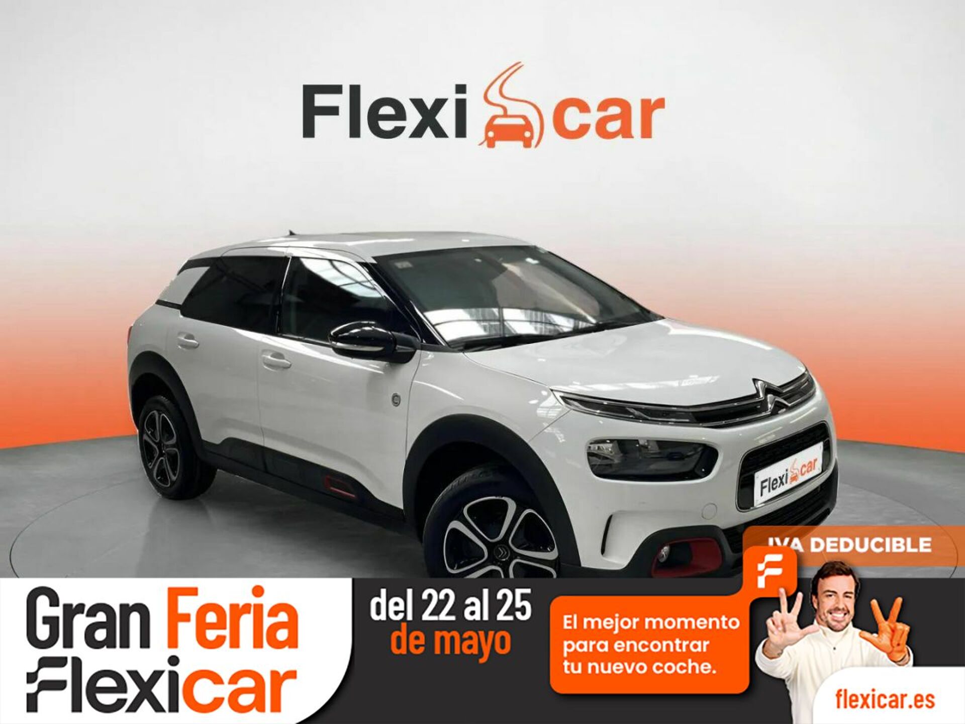 Imagen de CITROEN C4 Cactus