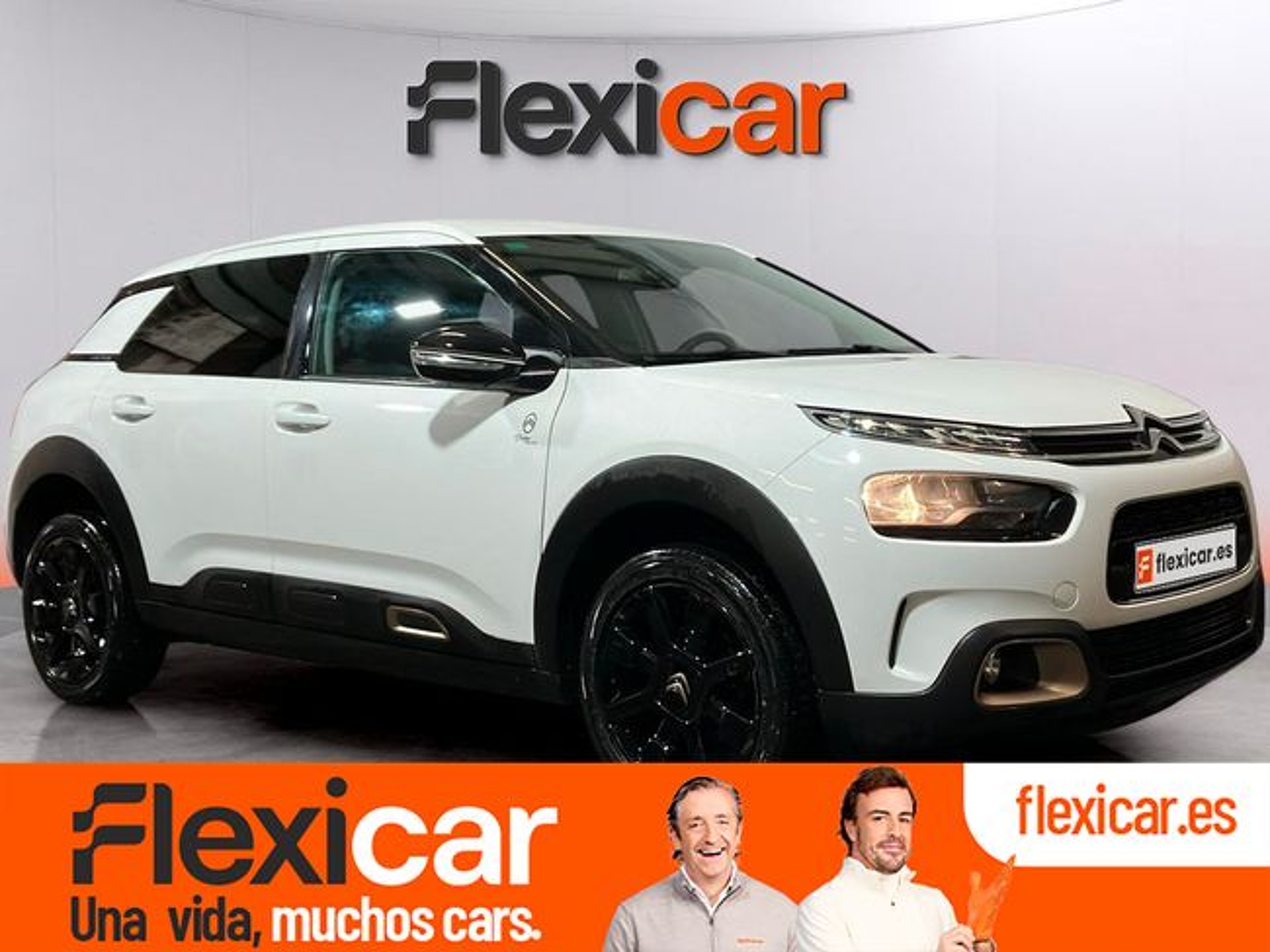 Imagen de CITROEN C4 Cactus