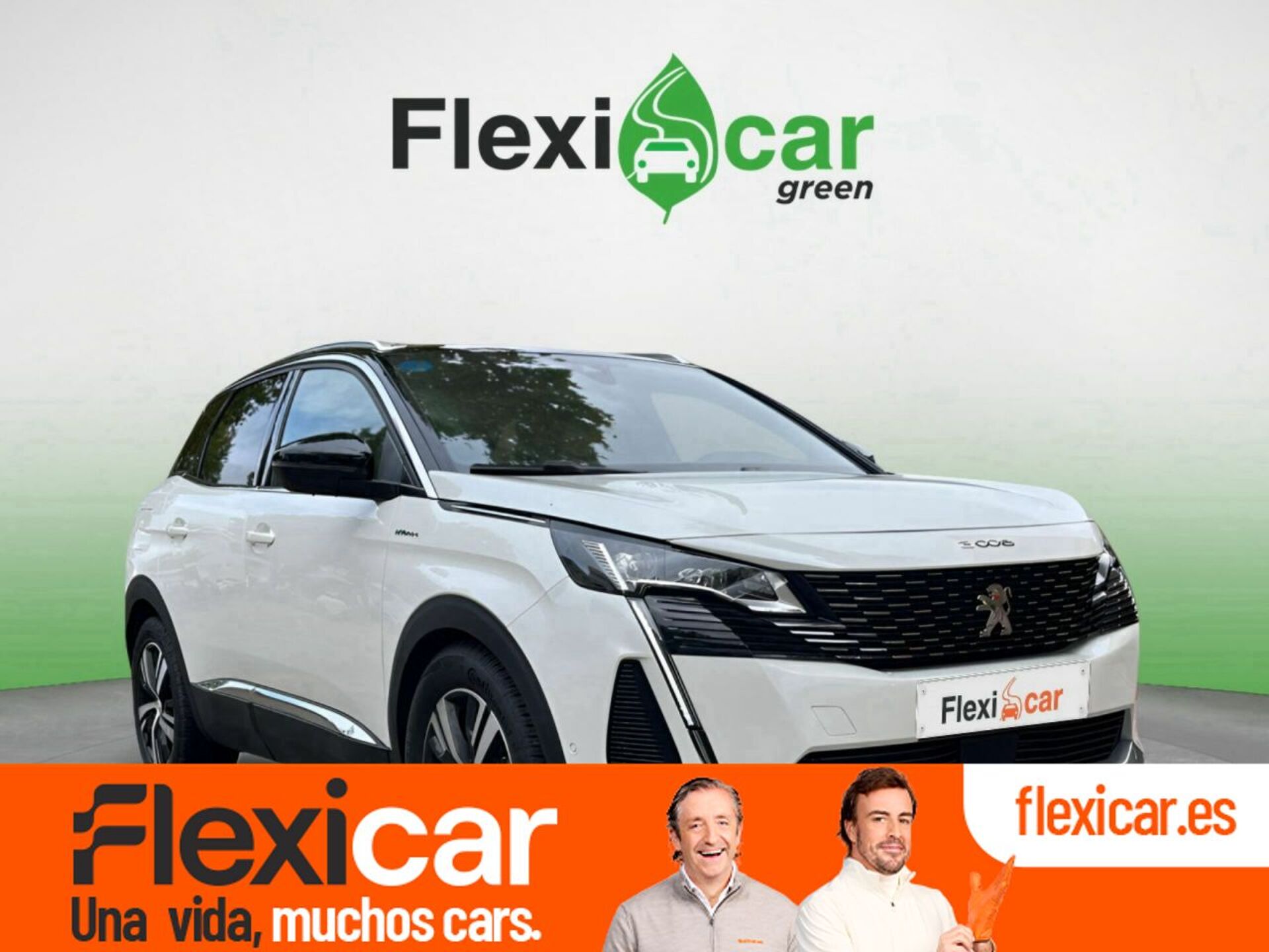 Imagen de PEUGEOT 3008