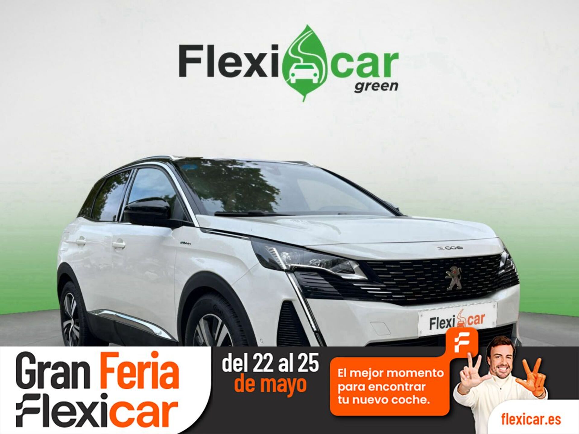 Imagen de PEUGEOT 3008