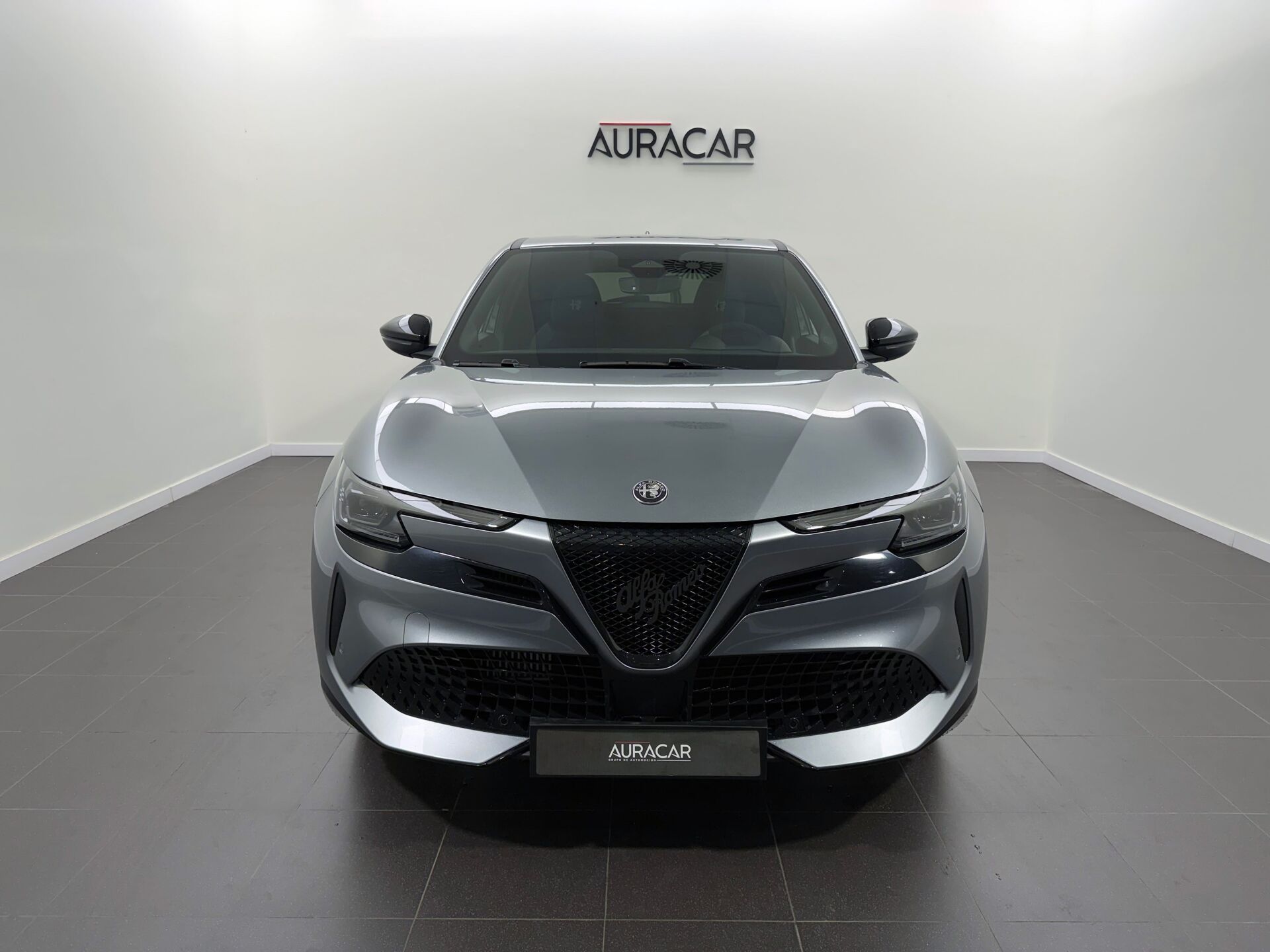 Imagen 2 de ALFA ROMEO Junior