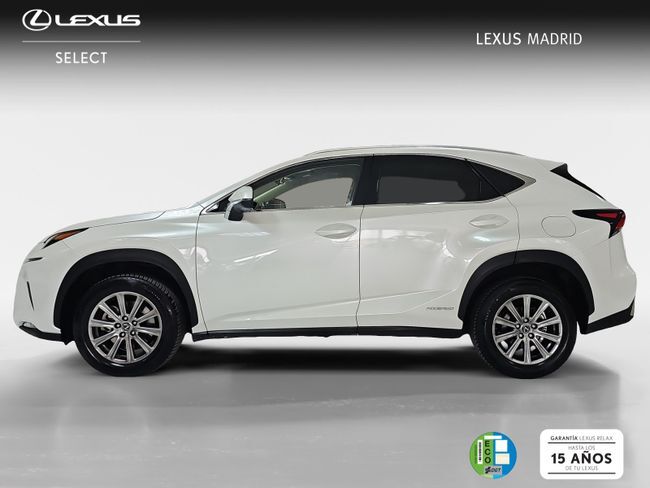 Foto del LEXUS NX 300h Business Navigation 2WD