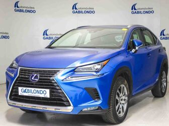 Imagen de LEXUS NX 300h Business 2WD