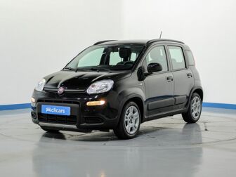 Imagen de FIAT Panda 1.0 Gse City Live Hybrid