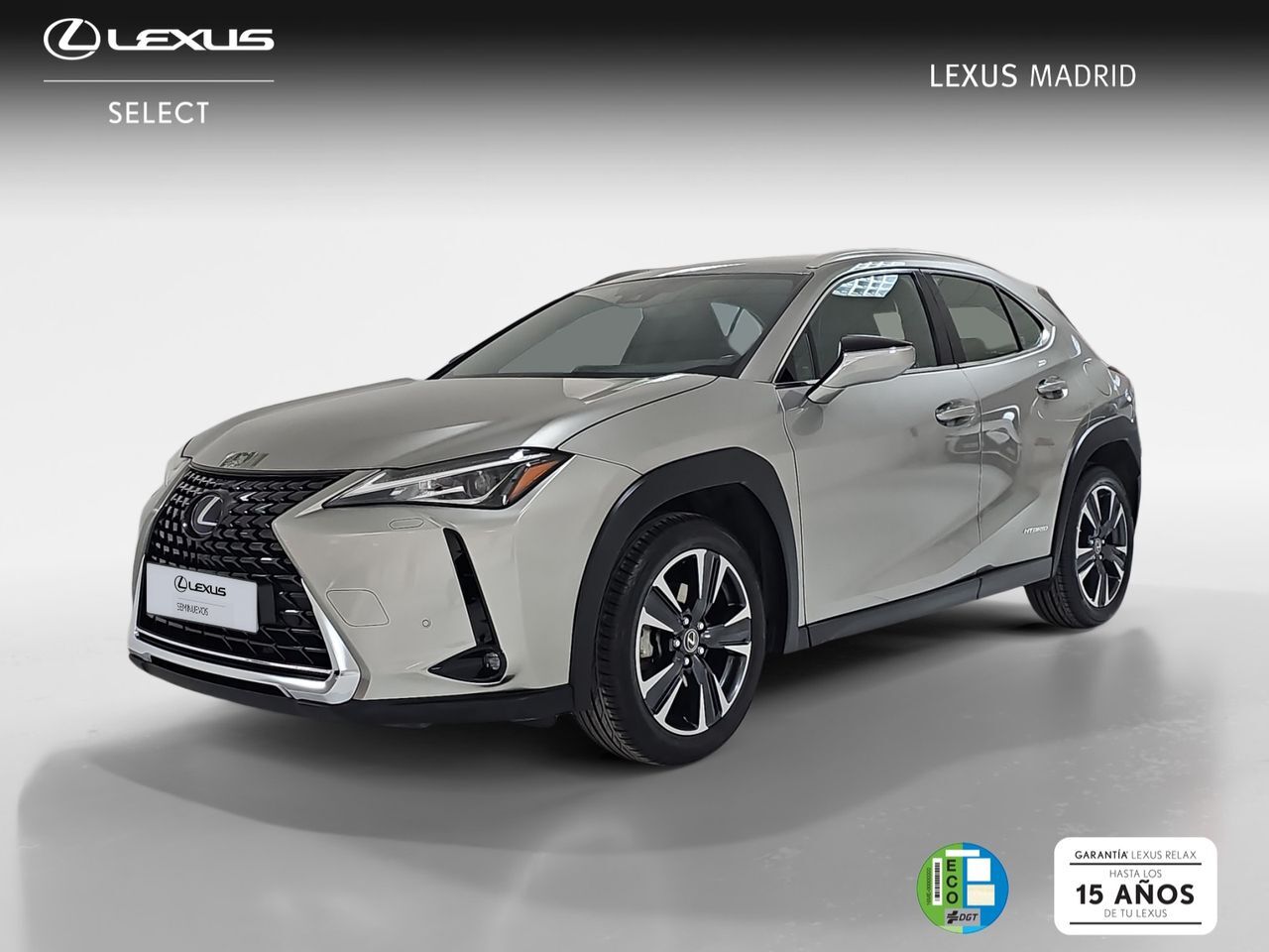 Foto del LEXUS UX 250h Premium 4WD
