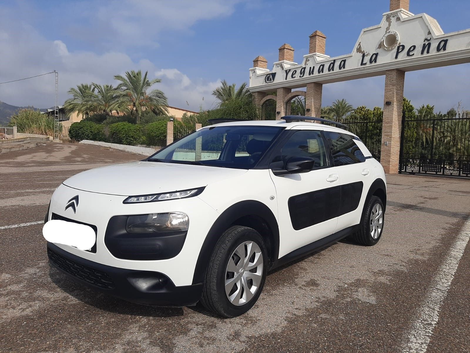CITROEN C4 Cactus (1.6 BlueHDi Feel 100) en Murcia