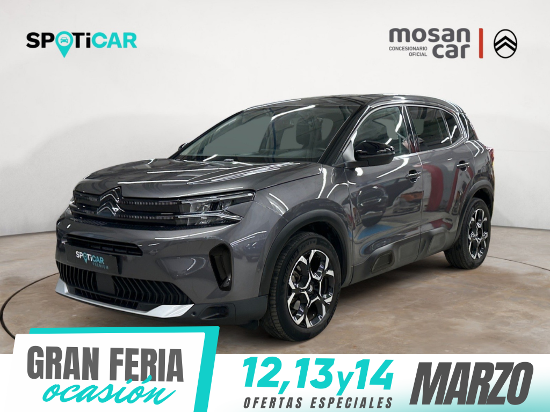Imagen de CITROEN C5 Aircross