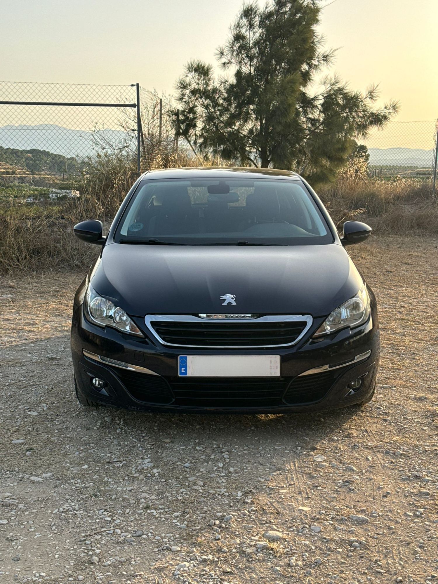 Foto del PEUGEOT 308 1.6 BlueHDi Style 100