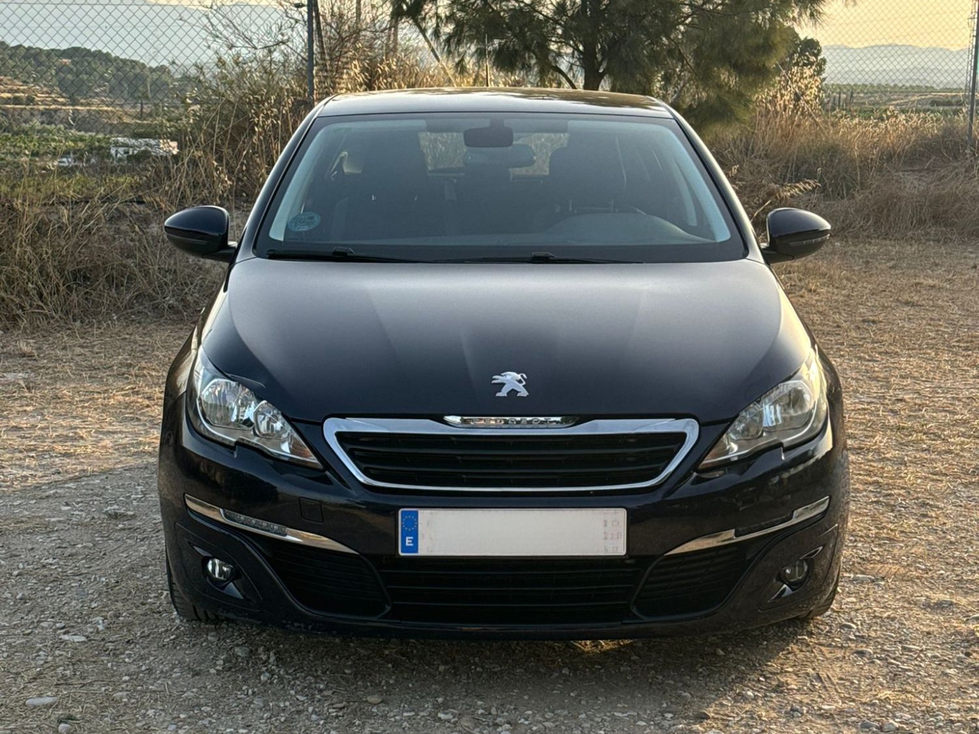 Imagen de PEUGEOT 308