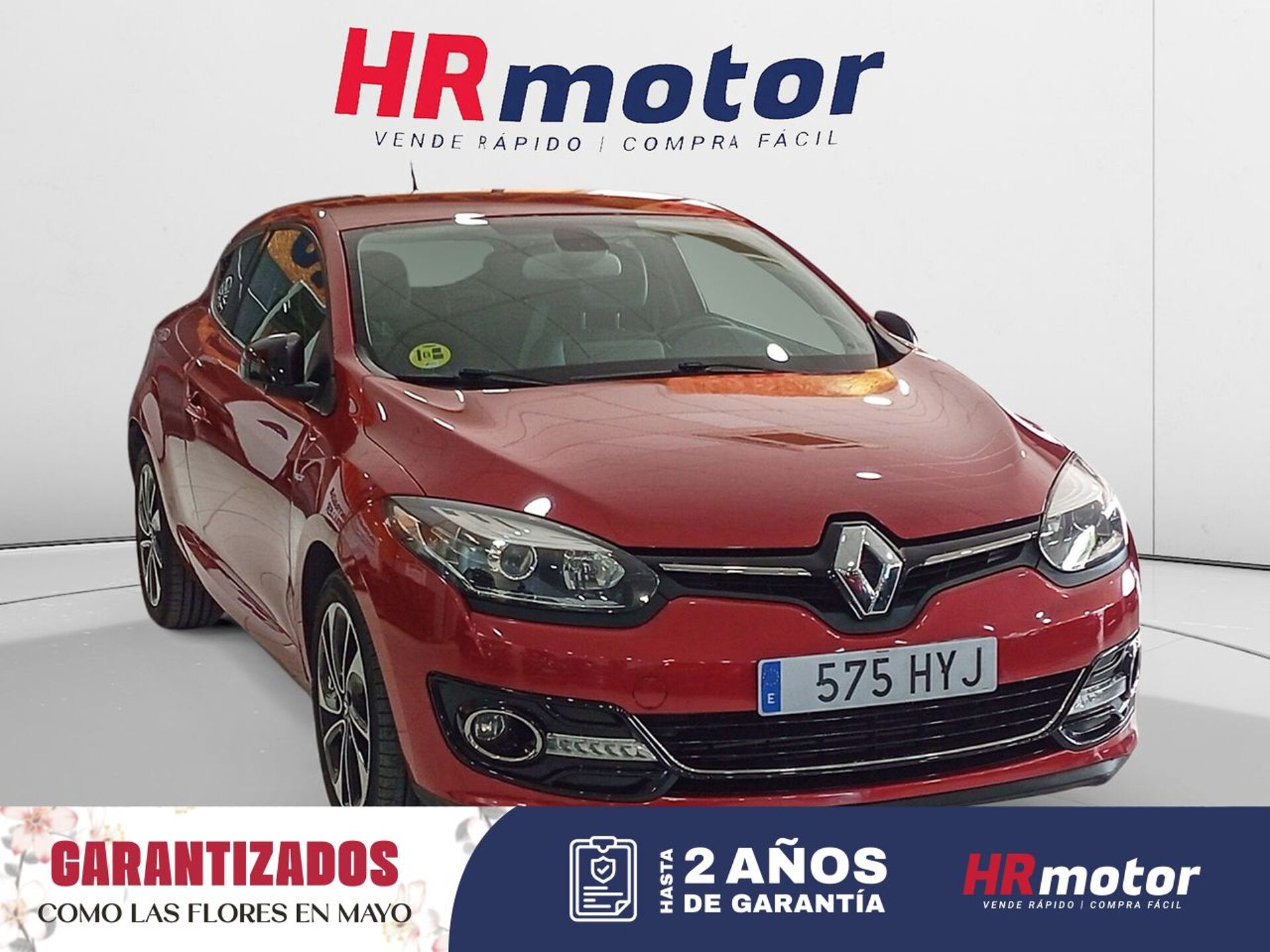 Imagen de RENAULT Mégane