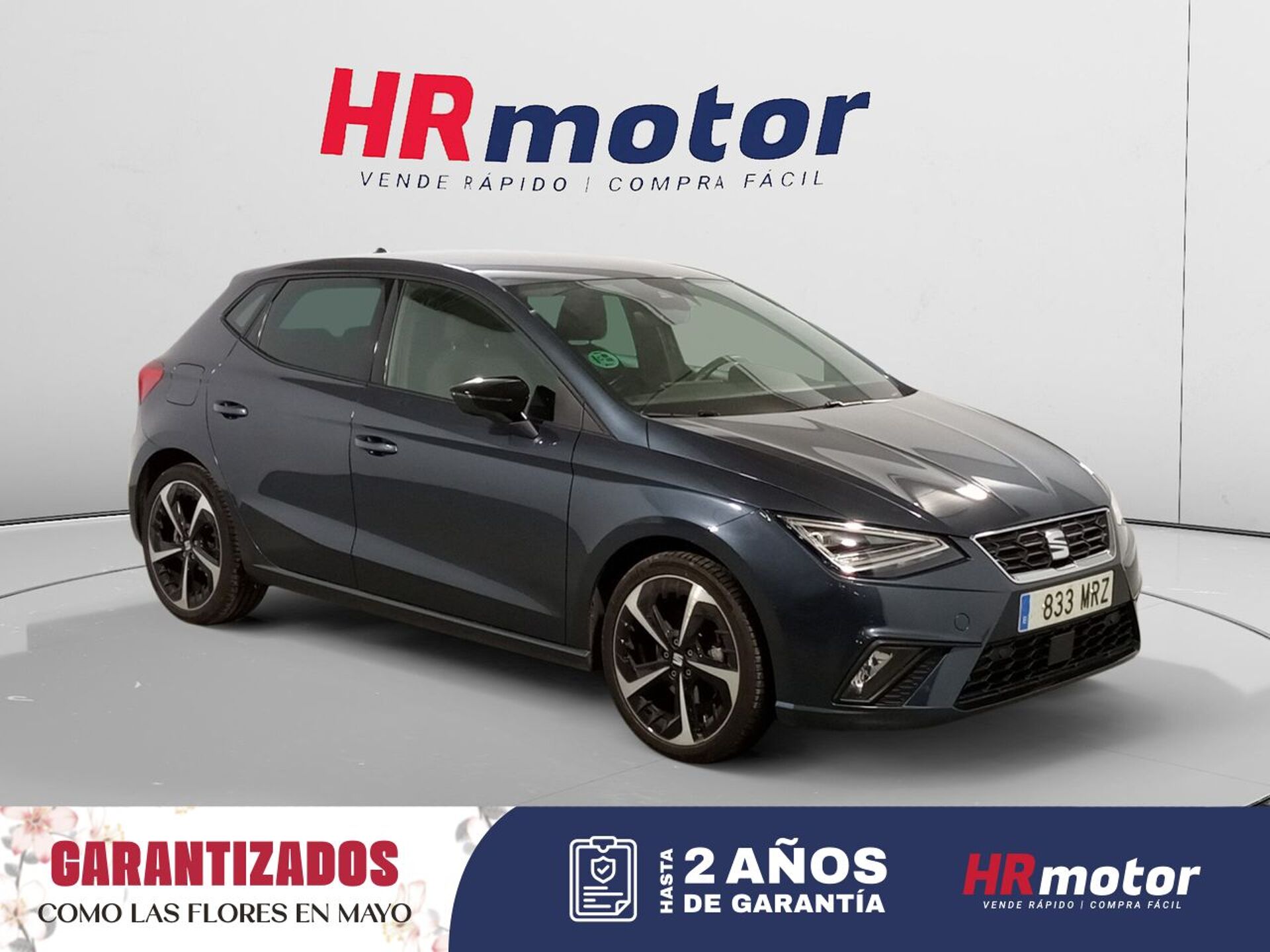 Imagen de SEAT Ibiza