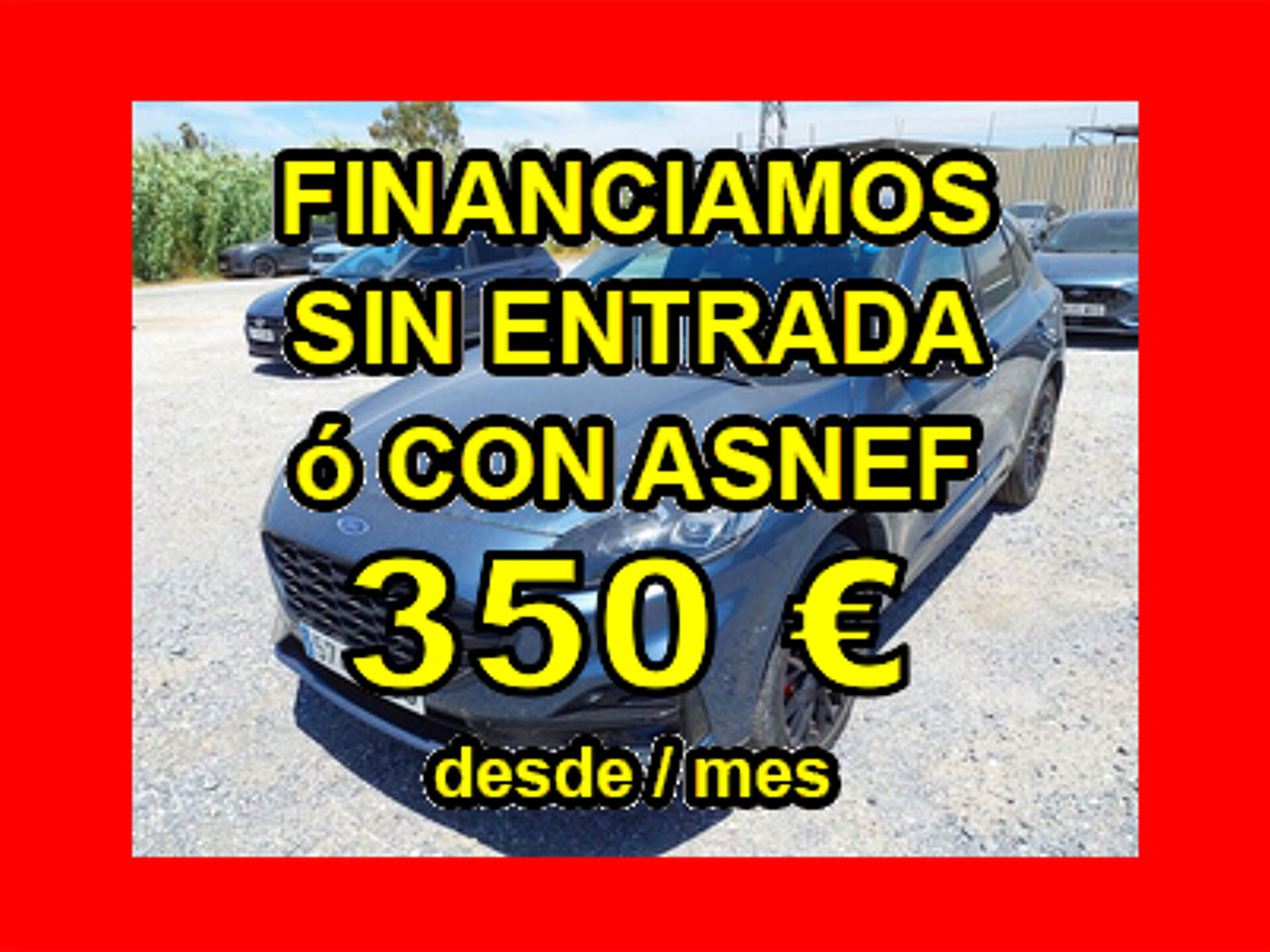 Imagen de FORD Kuga