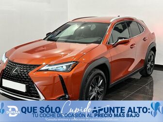 Imagen de LEXUS UX 250h Premium 4WD