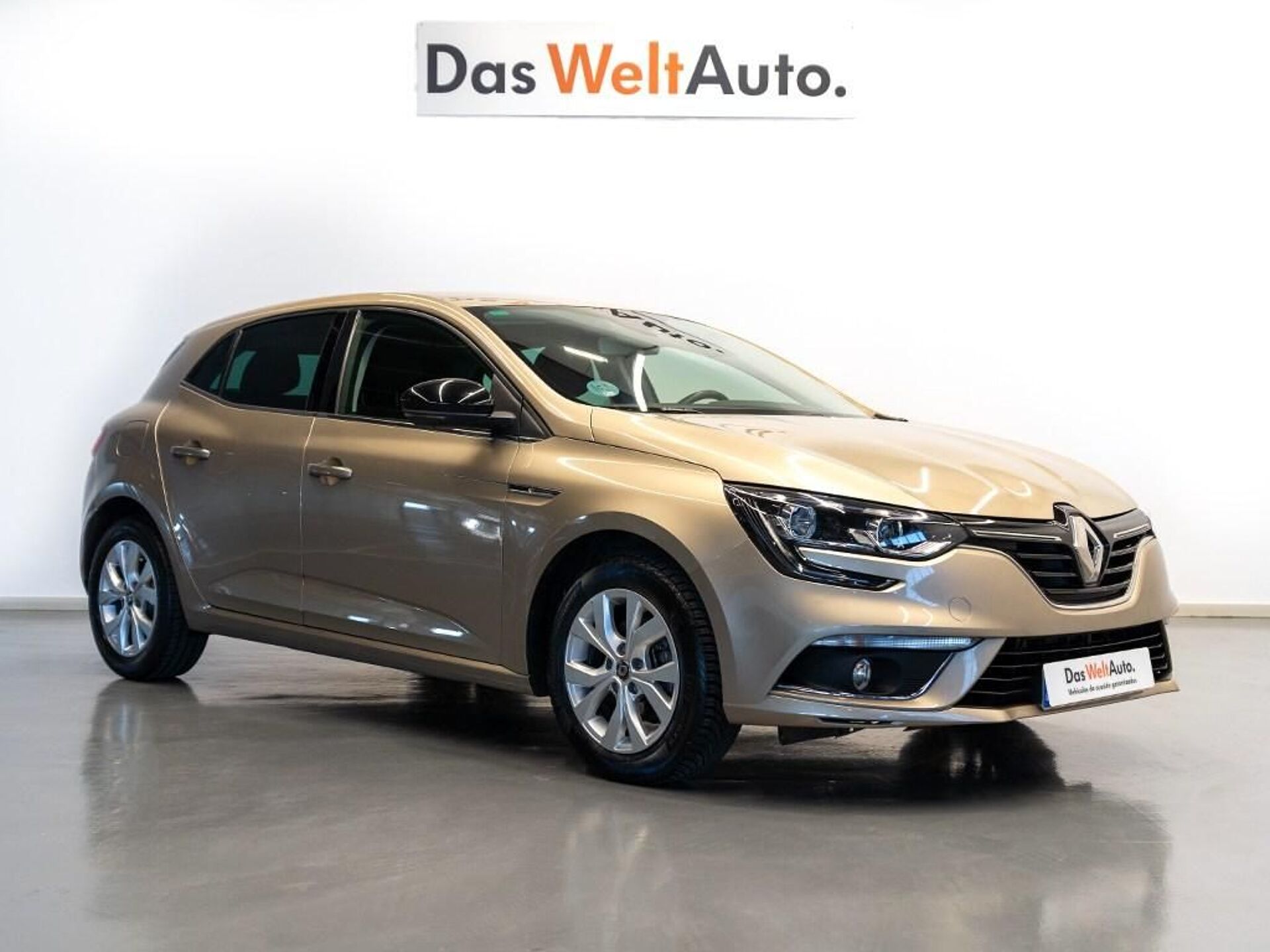 Imagen de RENAULT Mégane