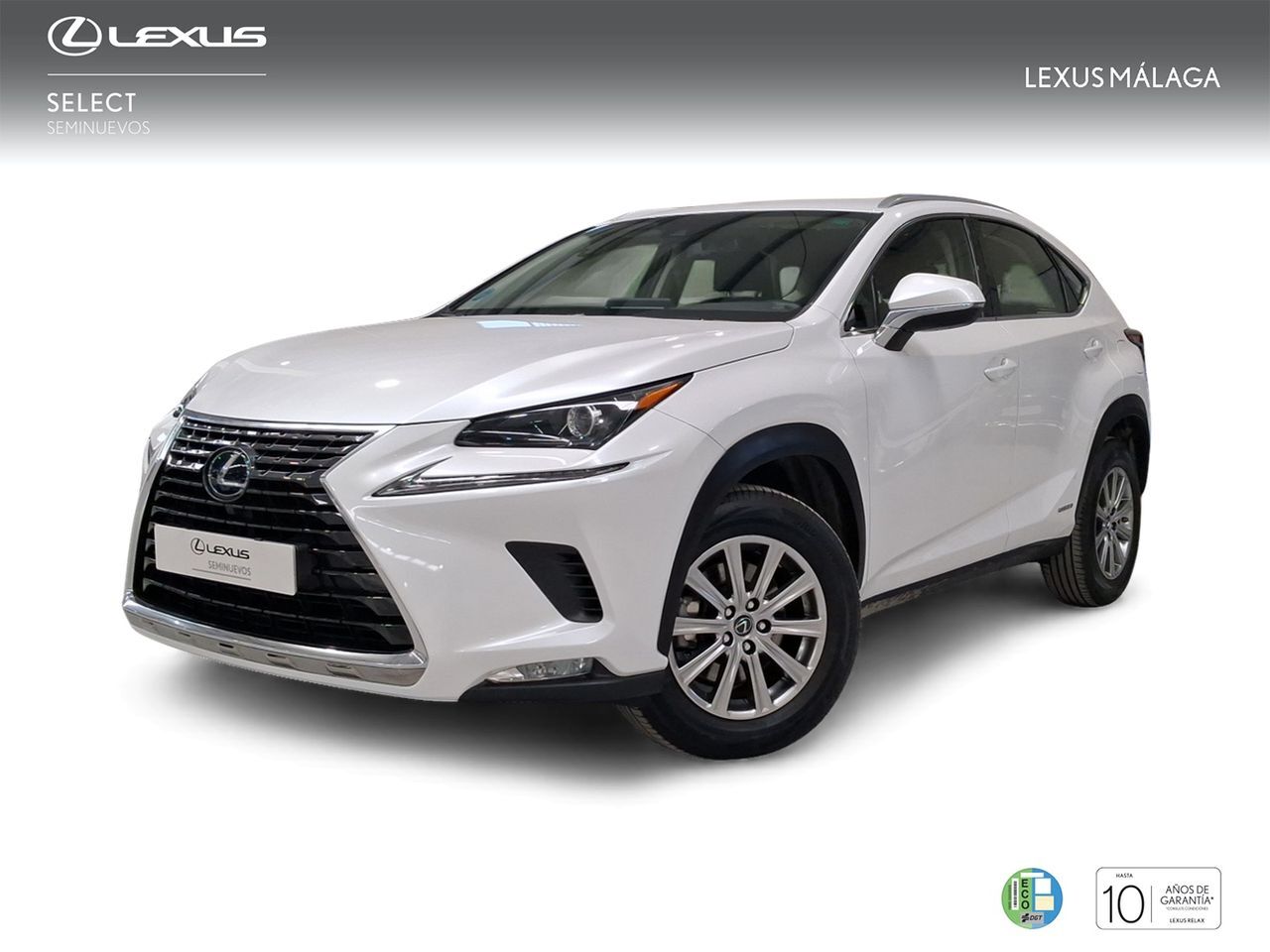 LEXUS NX (2.5 300h Business Navigation 2WD) en Málaga