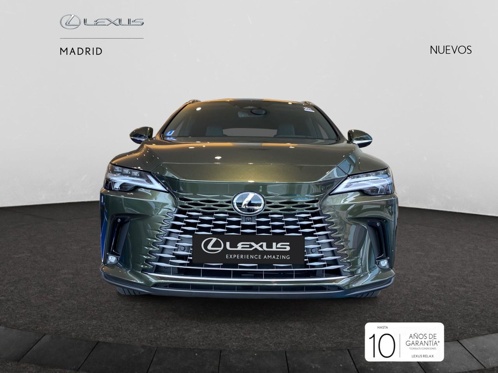 Imagen 1 de LEXUS RX