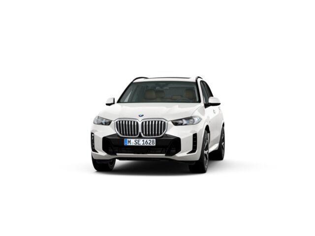 BMW X5 (xDrive40d xLine 259 kW (352 CV)) en Alicante