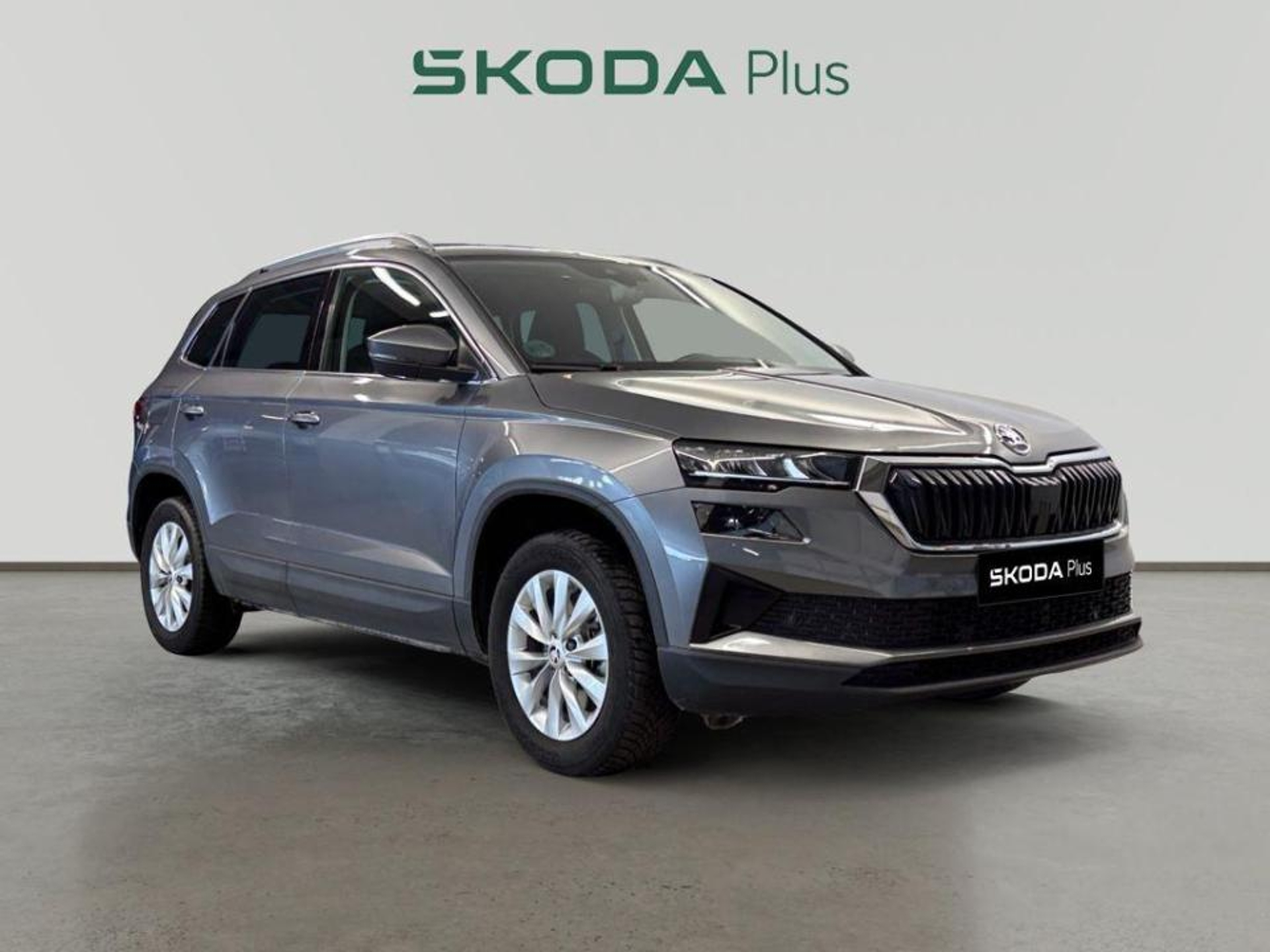 Imagen de SKODA Karoq