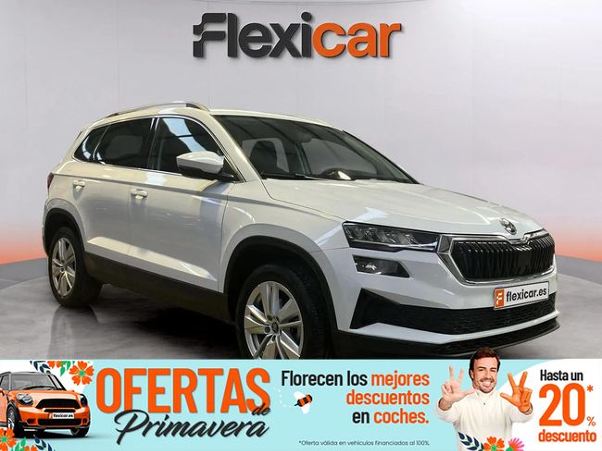 Imagen de SKODA Karoq
