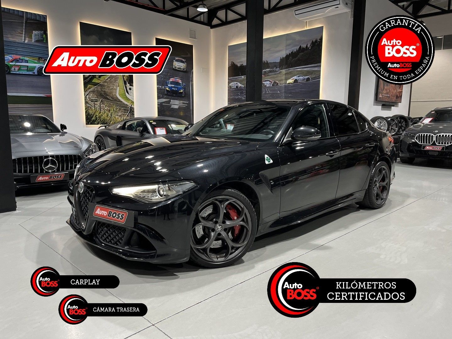ALFA ROMEO Giulia (2.9 T Quadrifoglio Aut. 510) en Sevilla