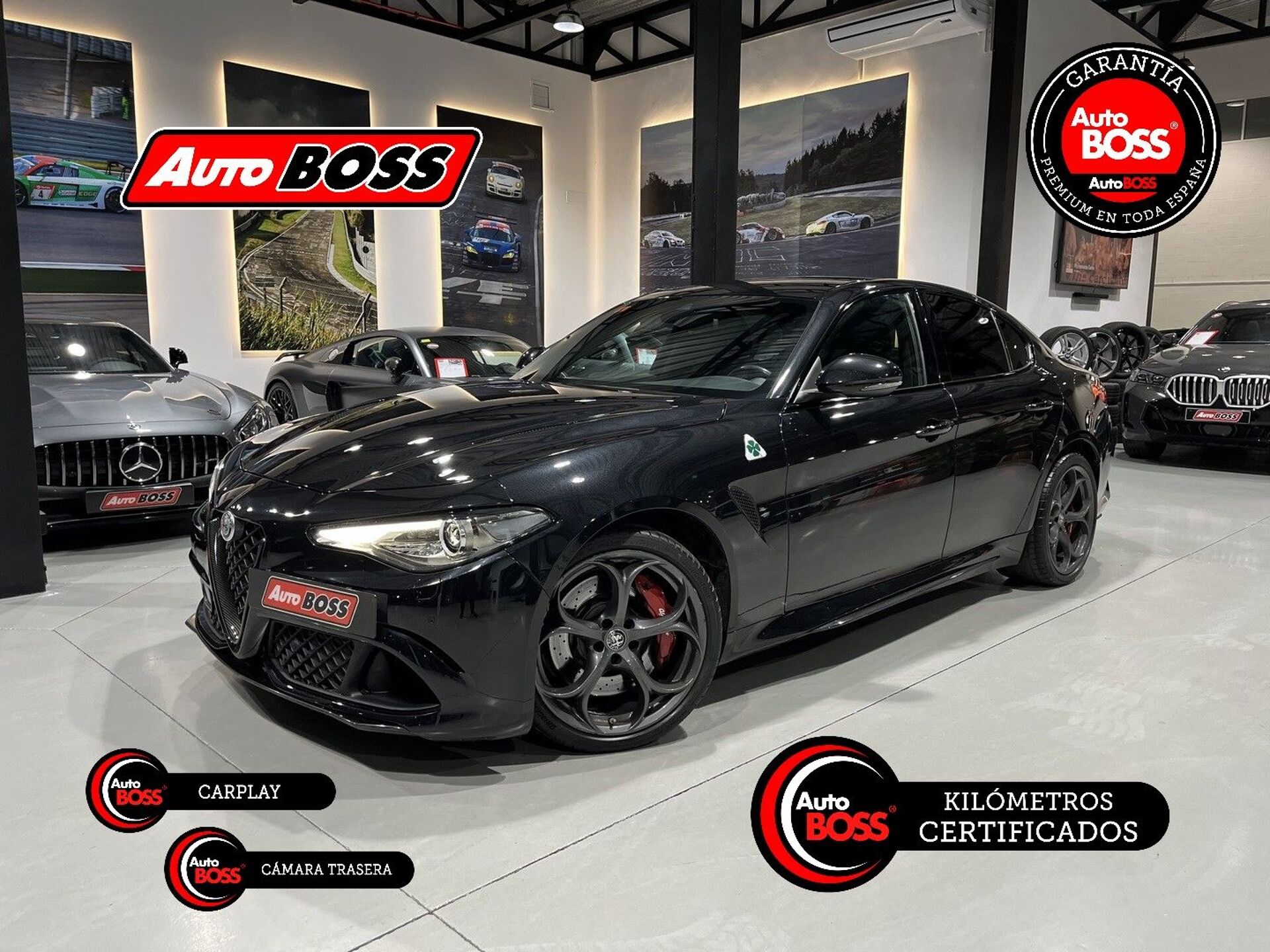 Imagen 1 de ALFA ROMEO Giulia