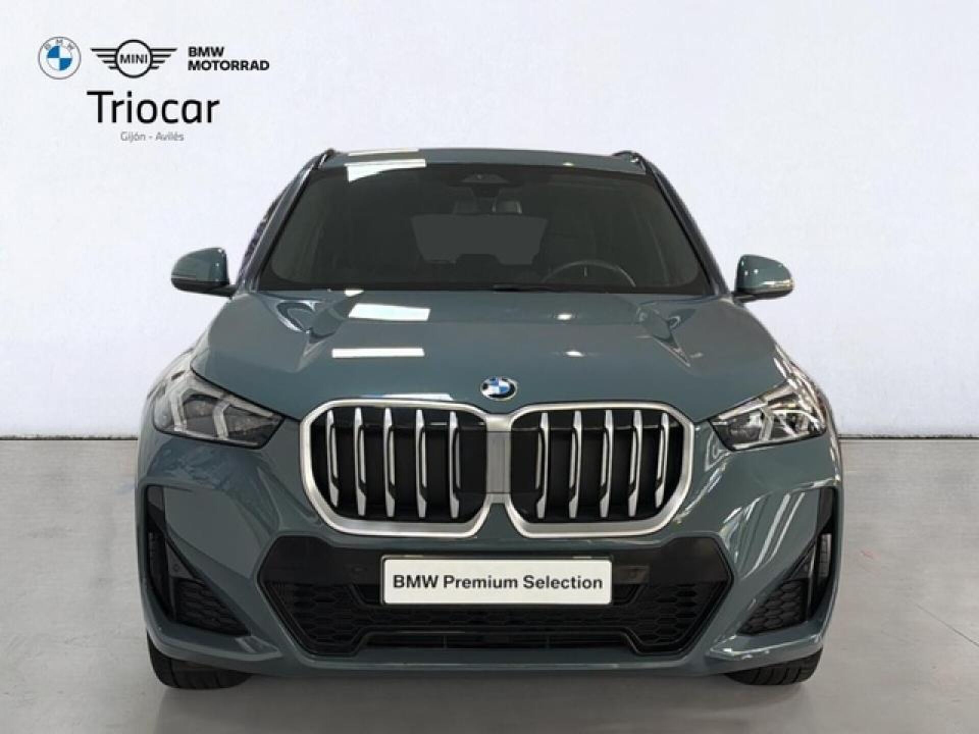 Imagen 2 de BMW X1