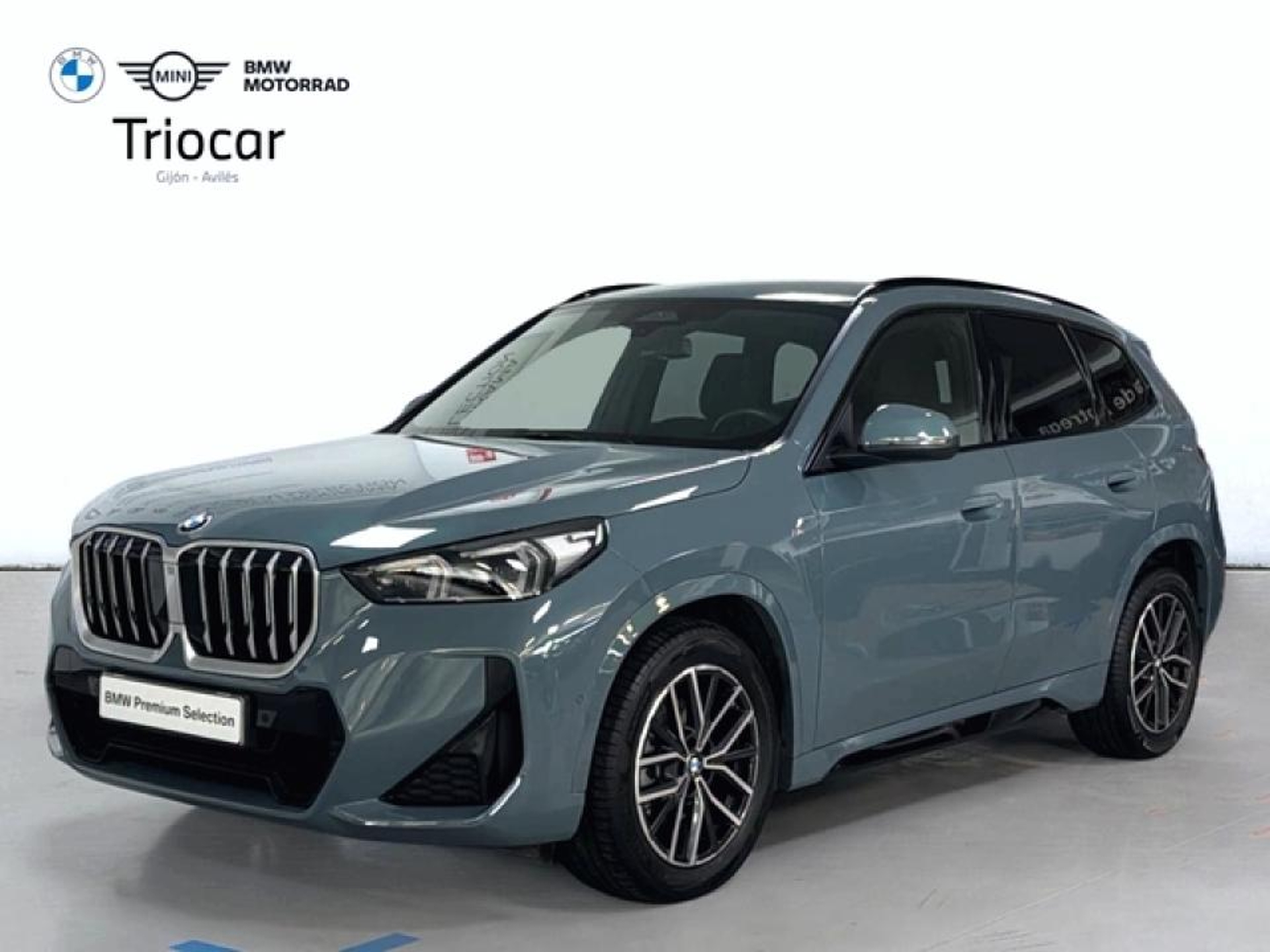 Imagen de BMW X1