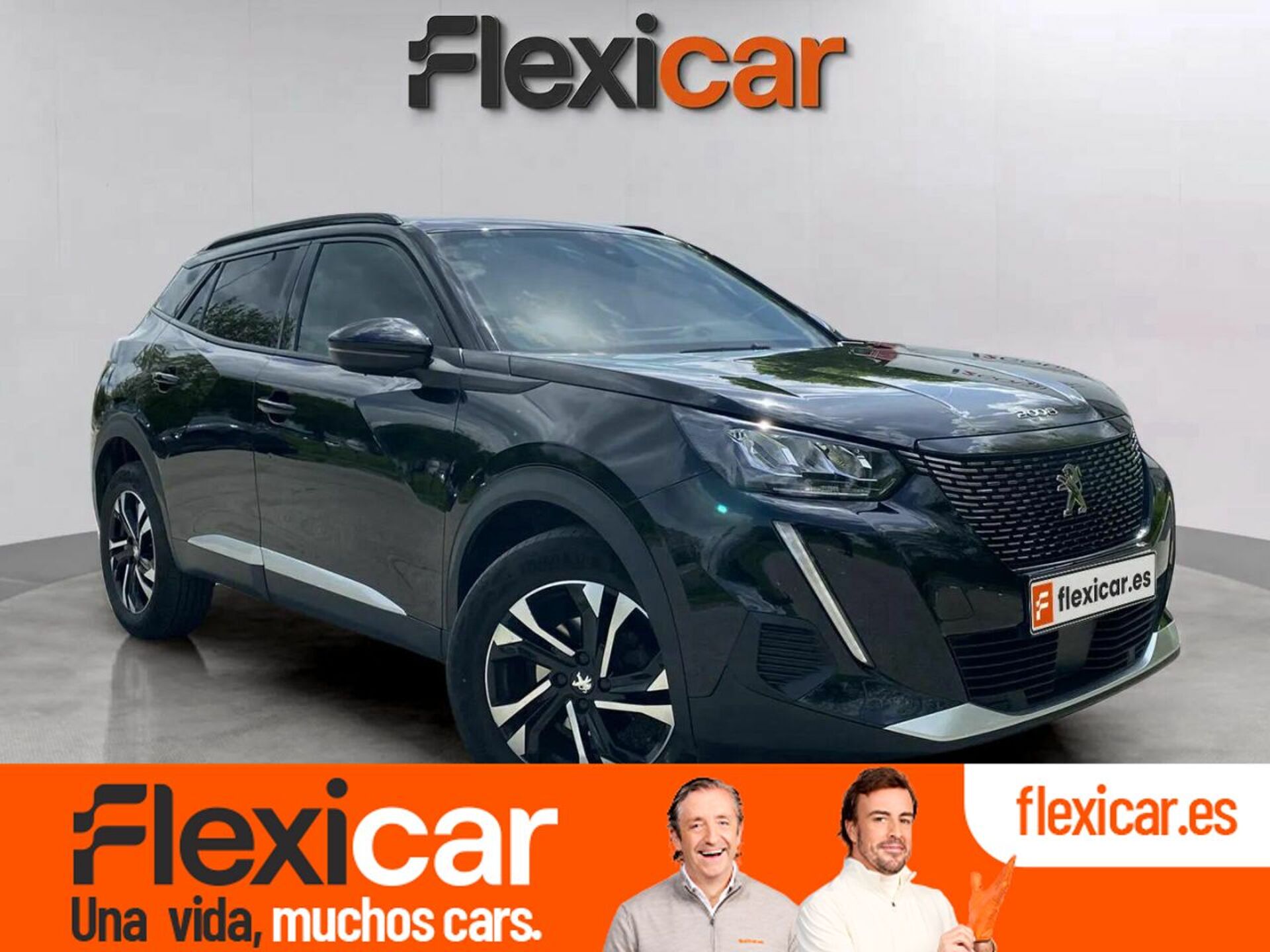 Imagen de PEUGEOT 2008