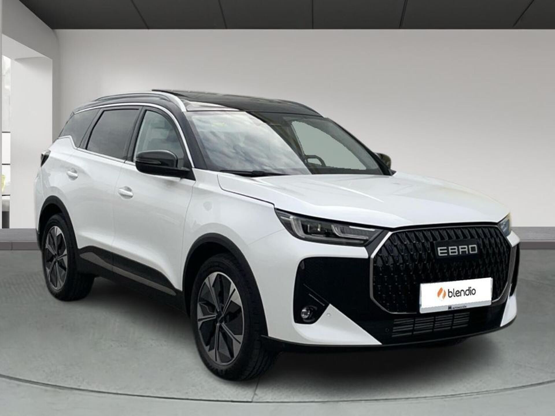 Imagen 3 de EBRO s700