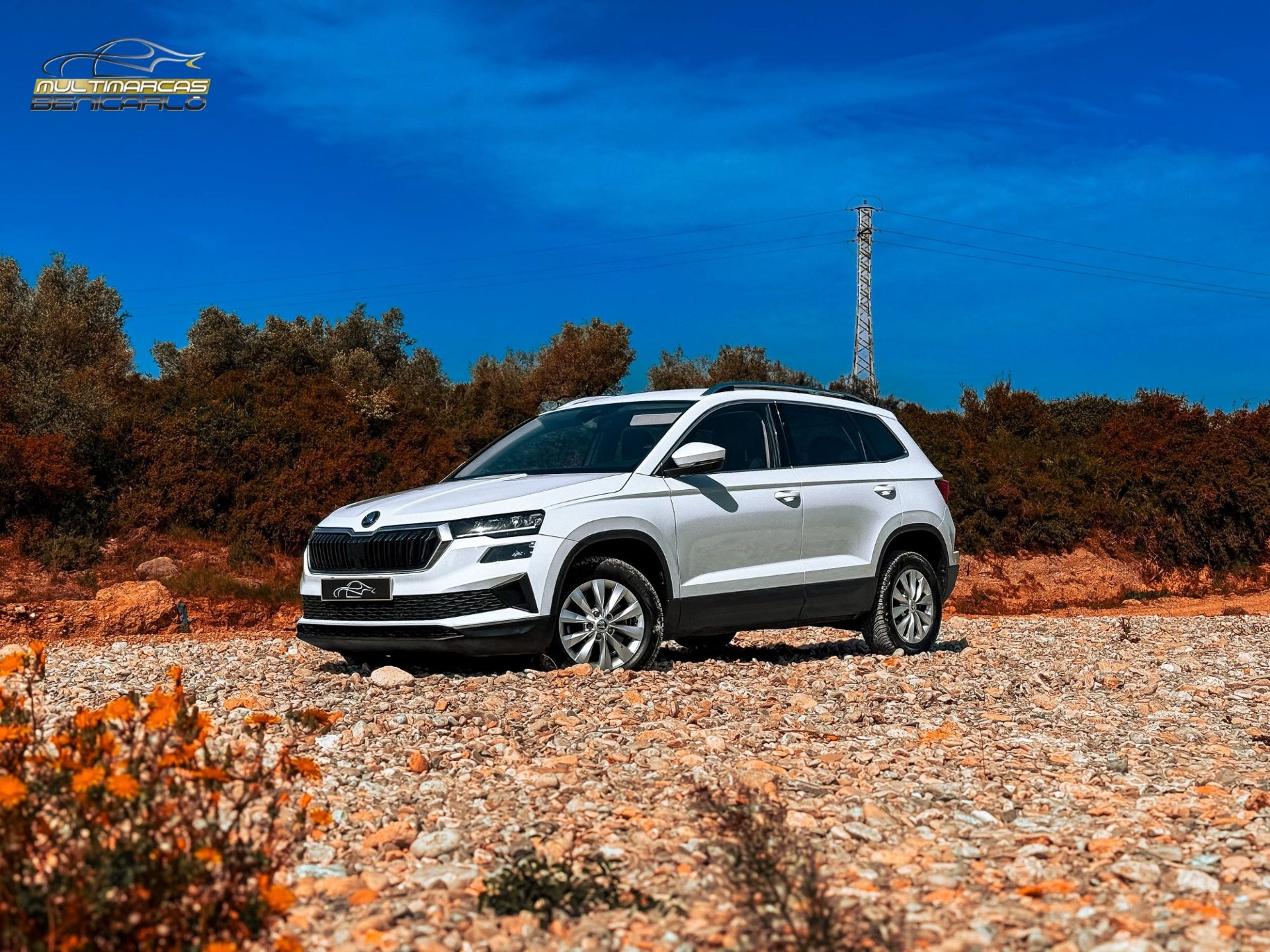 Imagen de SKODA Karoq