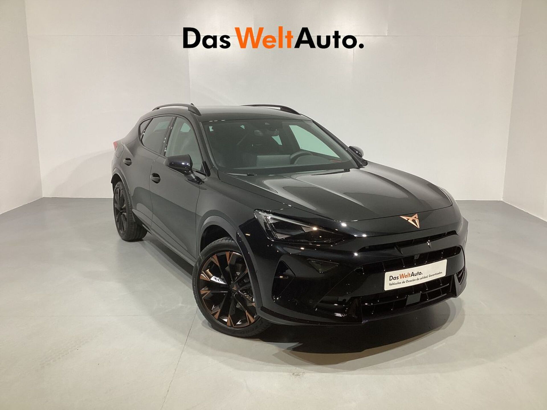 Imagen de CUPRA Formentor