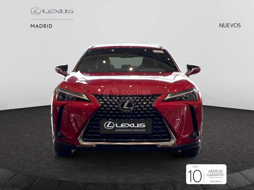 Foto del LEXUS UX 300h UX+