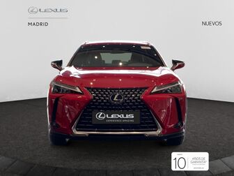 Imagen de LEXUS UX 300h UX+