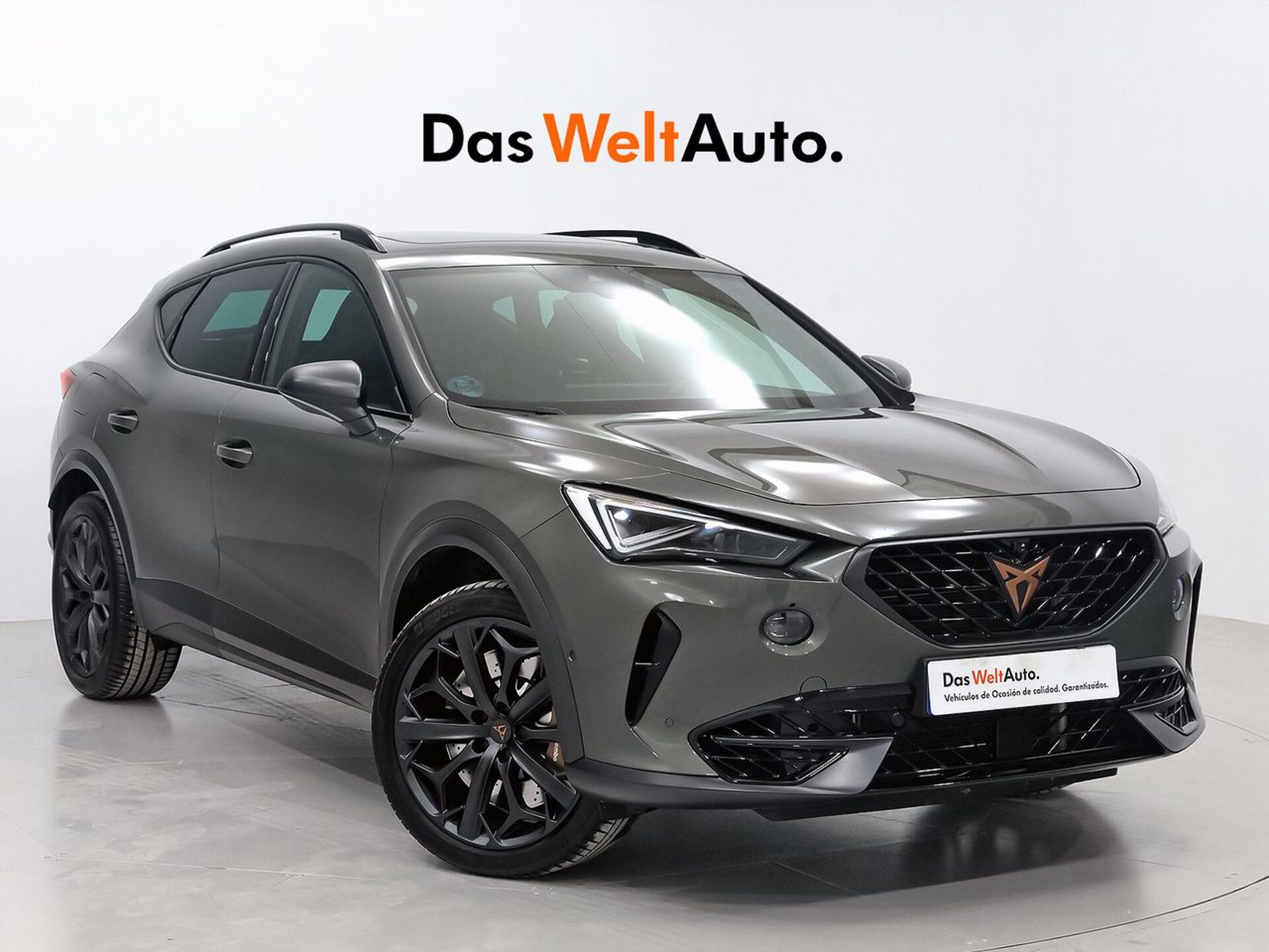 Imagen de CUPRA Formentor