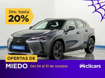 Imagen de LEXUS UX 250h Business 2WD