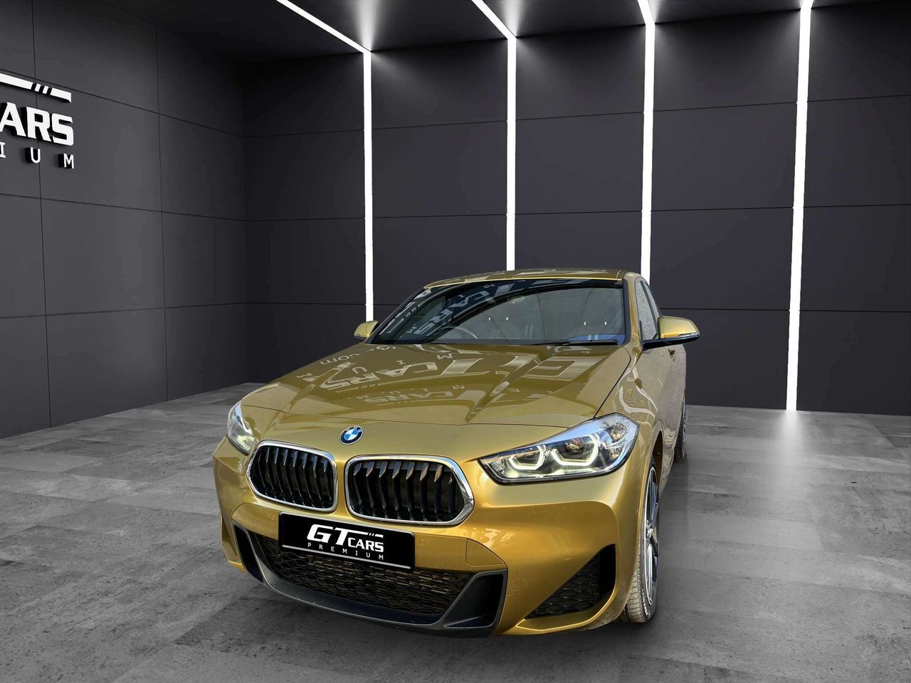 BMW X2 (25e xdrive) en Palmas, Las