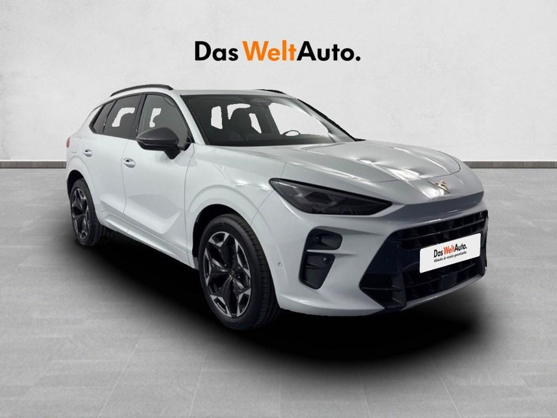 Imagen de CUPRA Terramar