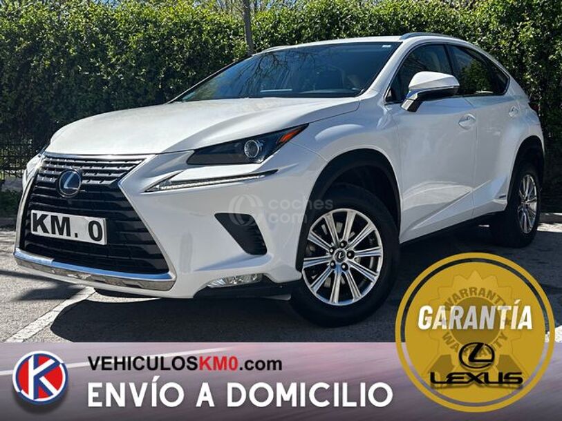 Foto del LEXUS NX 300h Business Navigation 2WD