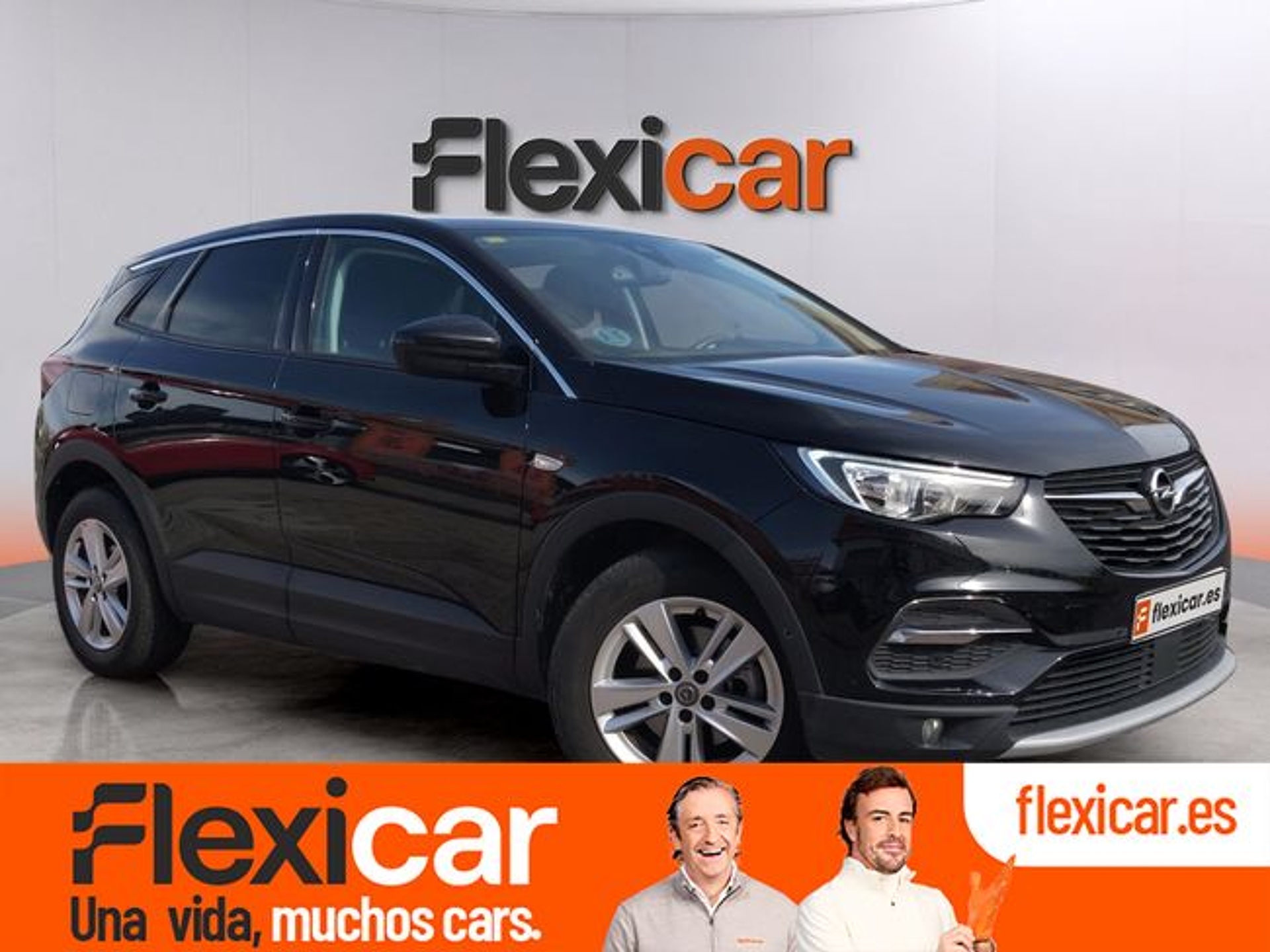 Imagen de OPEL Grandland X