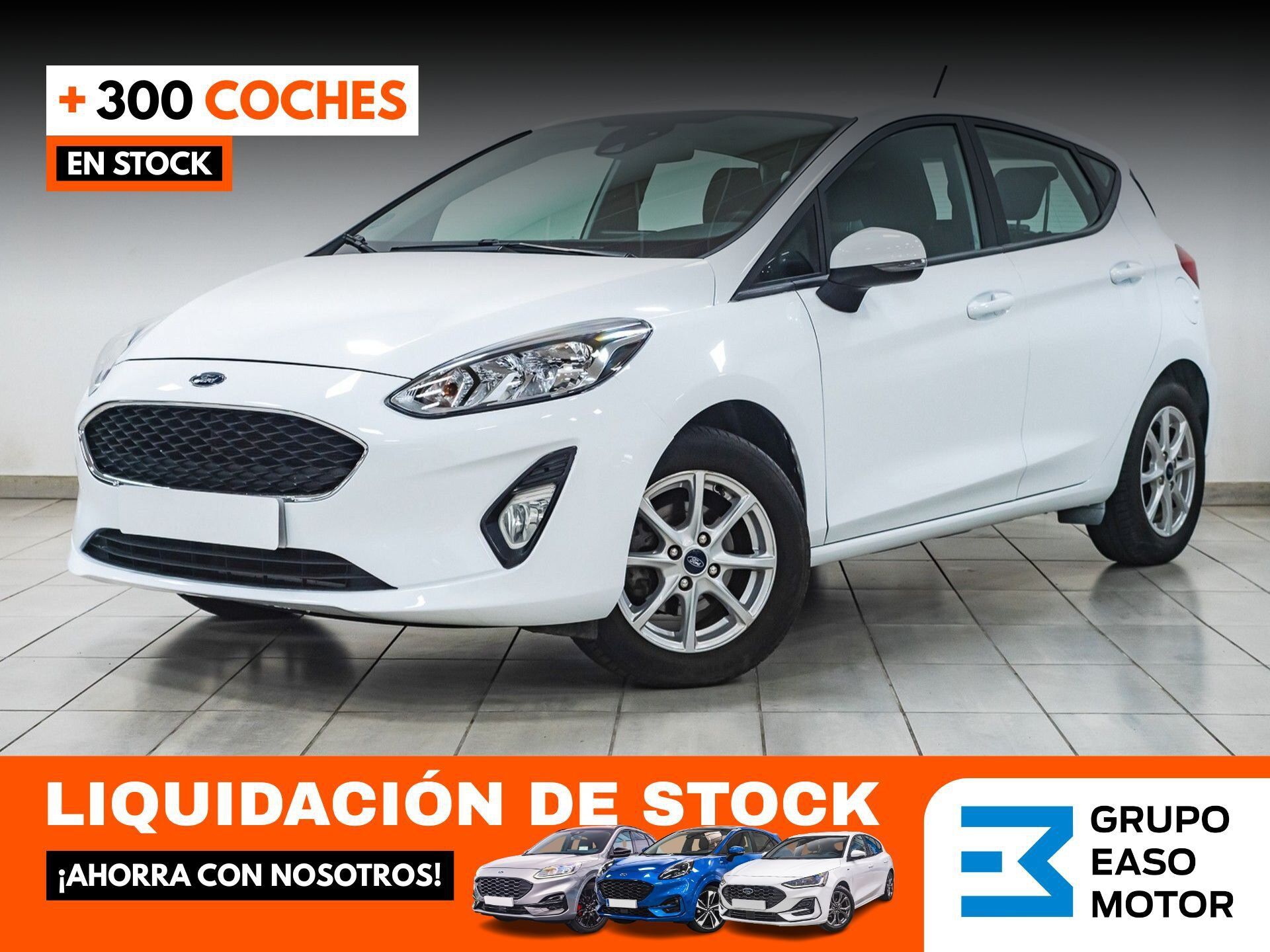 FORD Fiesta (1.1 TI-VCT 63KW TREND+ 85 5P) en Guipúzcoa