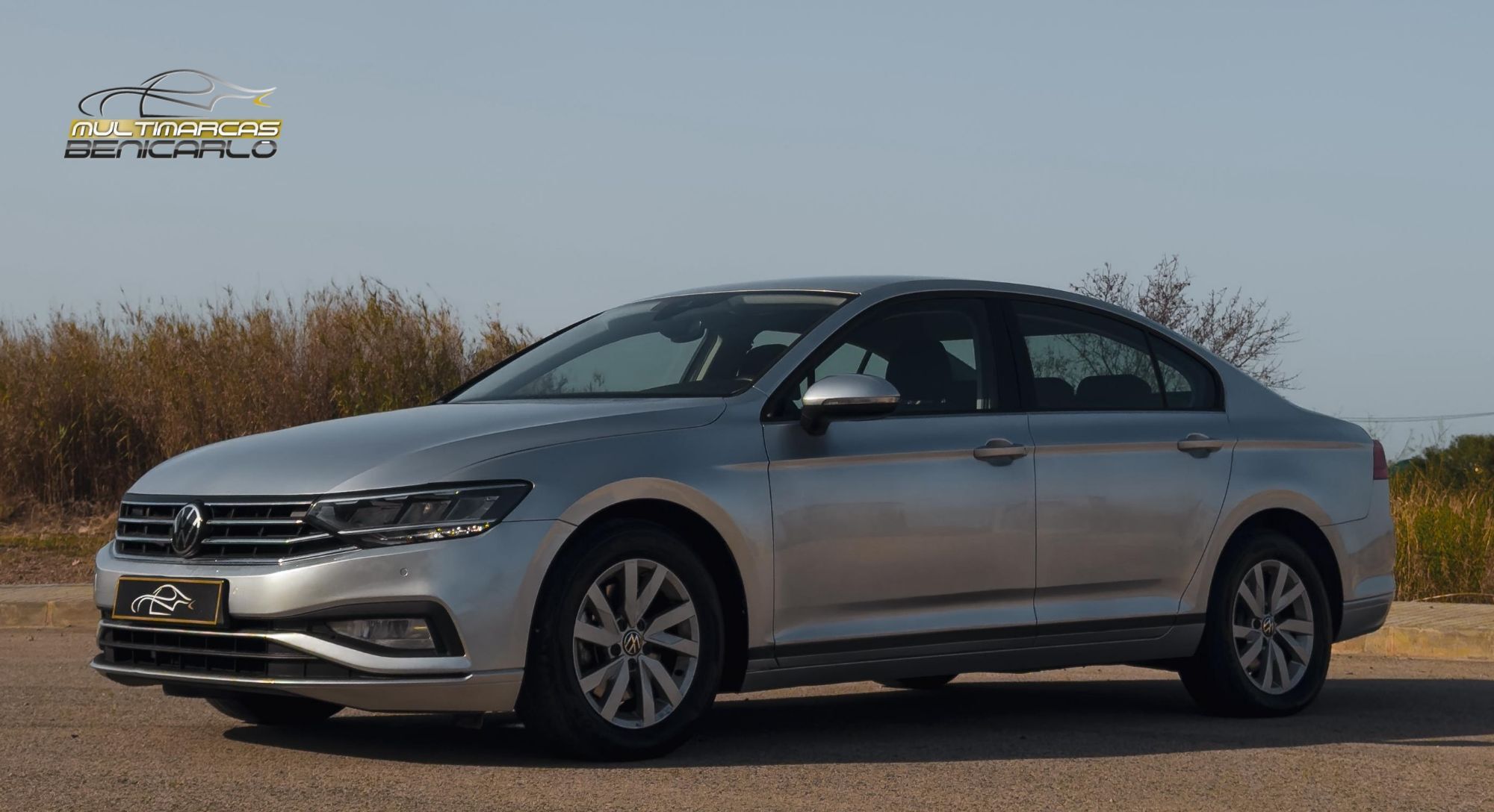 VOLKSWAGEN Passat (2.0TDI EVO Business 110kW) en Castellón