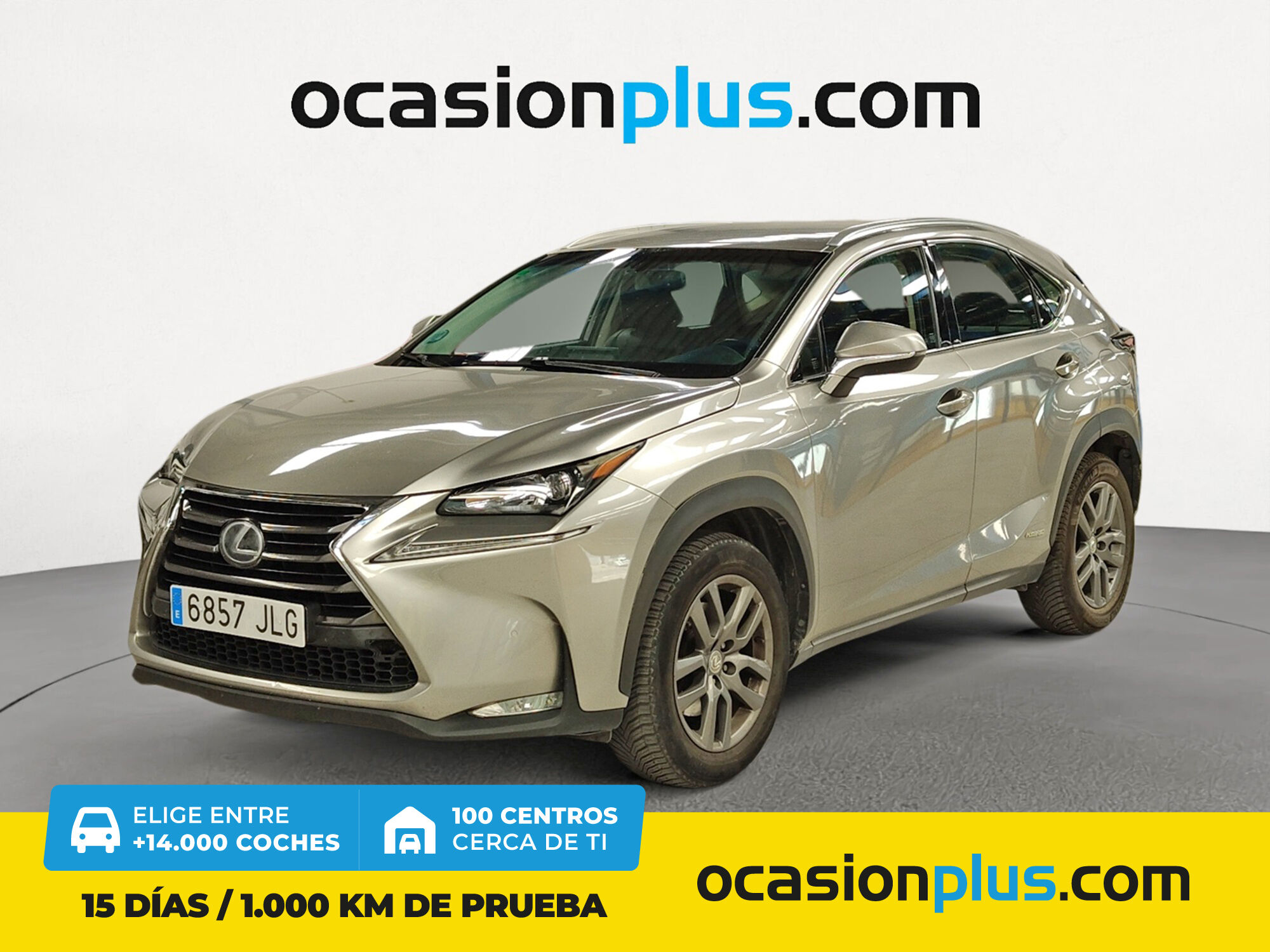 LEXUS NX (300h Luxury 4WD 145 kW (197 CV)) en Madrid