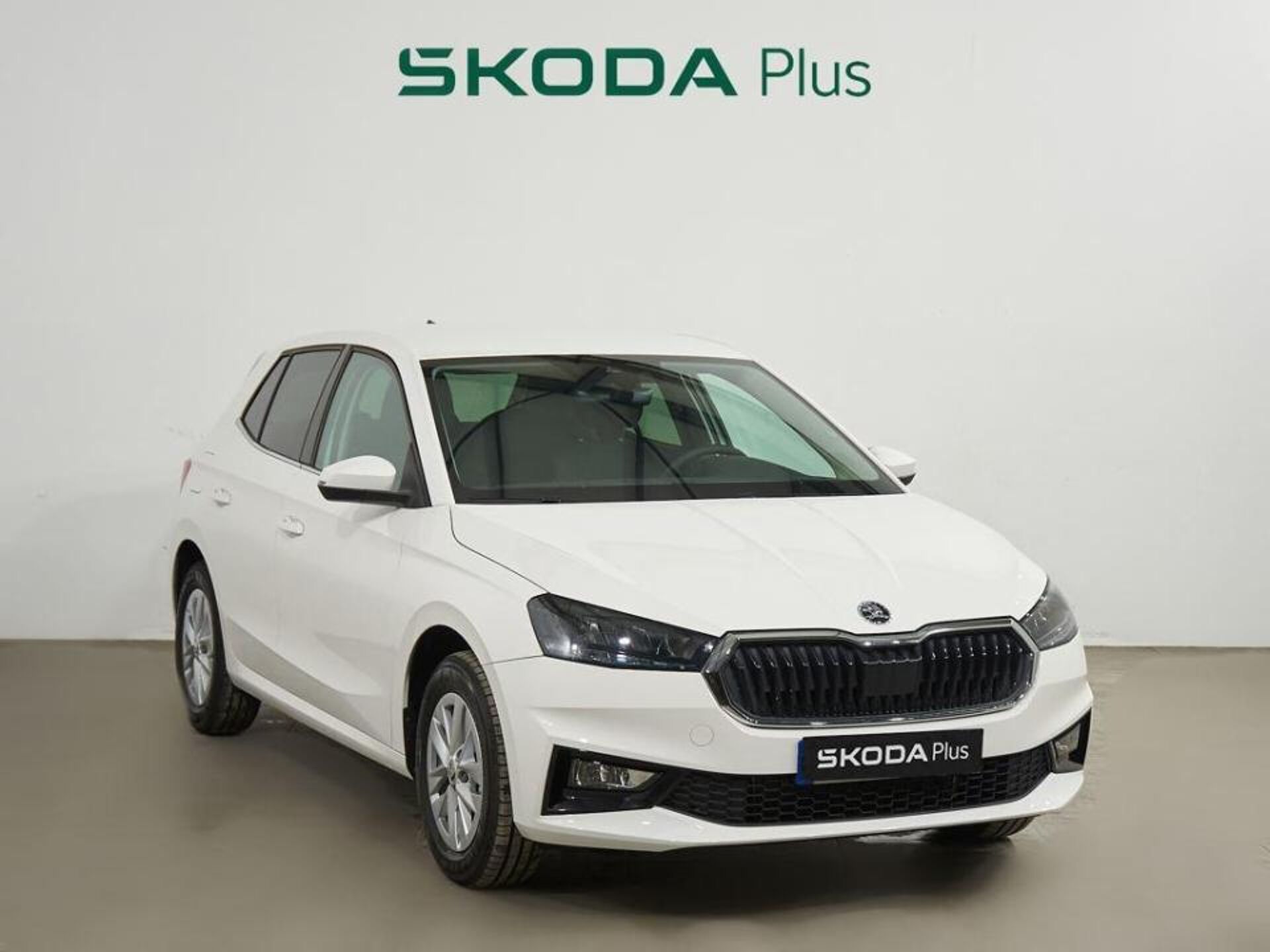Imagen 1 de SKODA Fabia