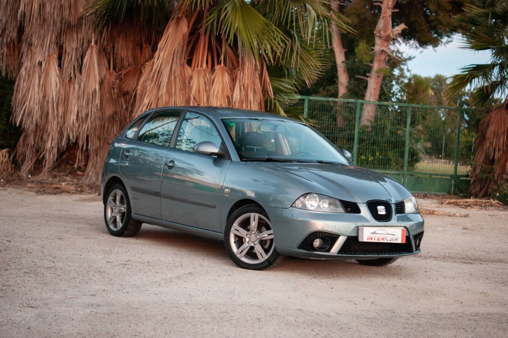 SEAT Ibiza (1.9 TDI 100cv Guapa) en Murcia