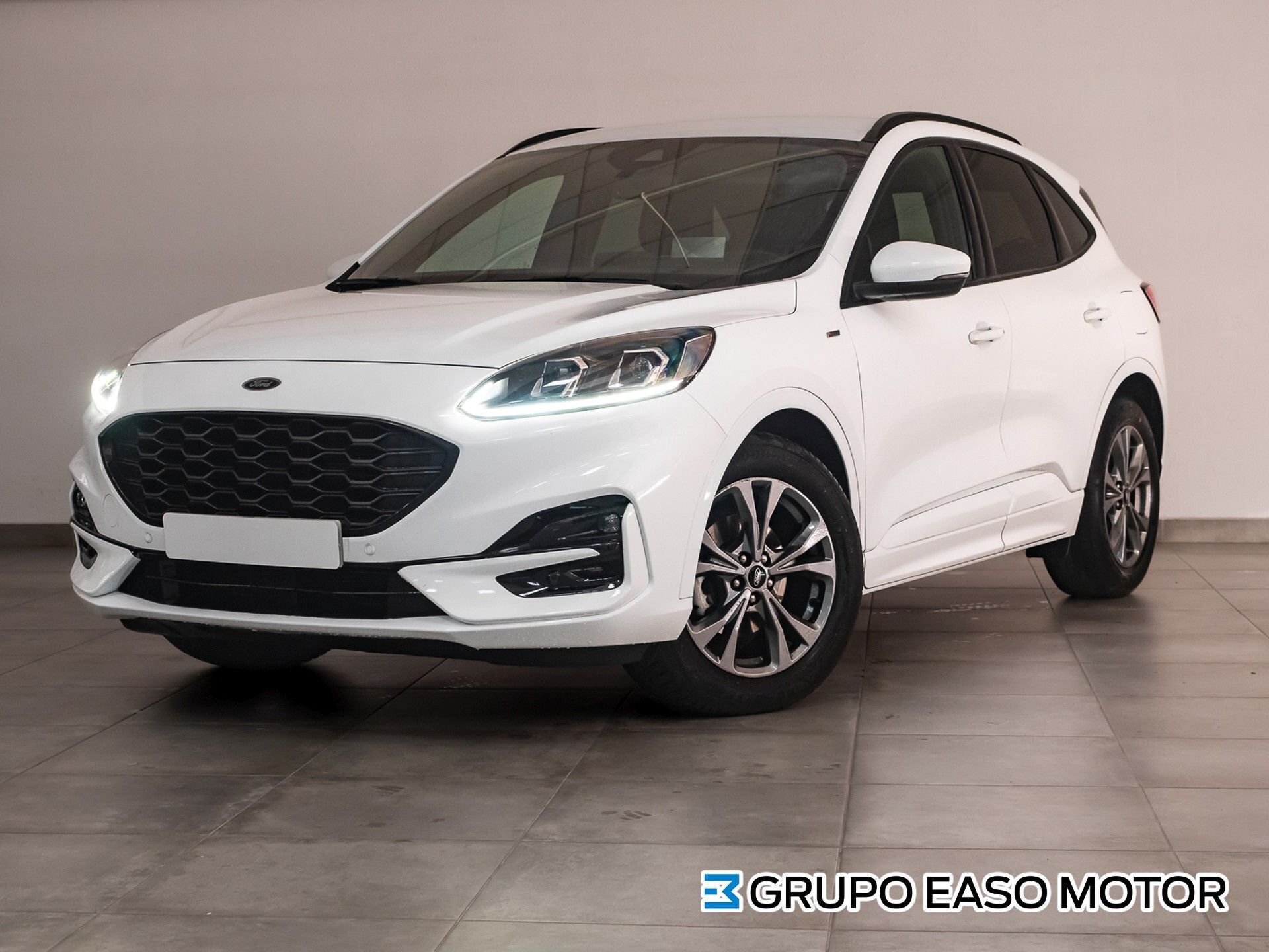 FORD Kuga (1.5 ECOBLUE 88KW ST-LINE 120 5P) en Guipúzcoa