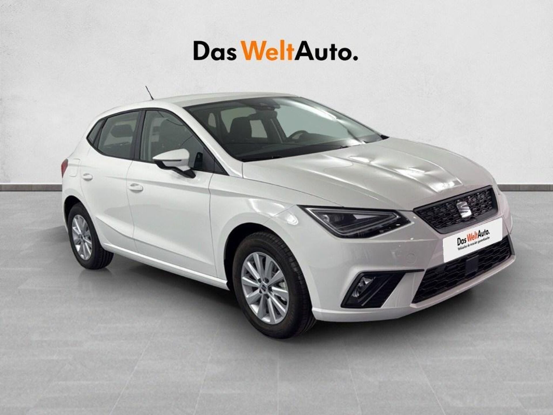Imagen 1 de SEAT Ibiza