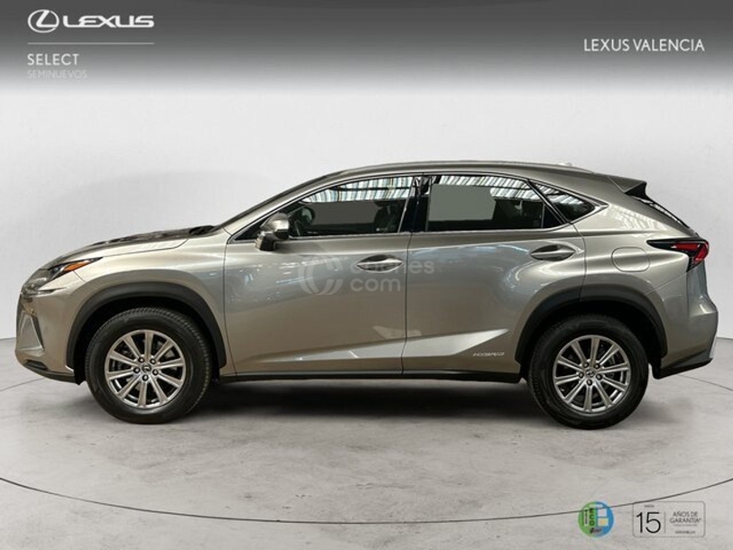 Foto del LEXUS NX 300h Business 2WD
