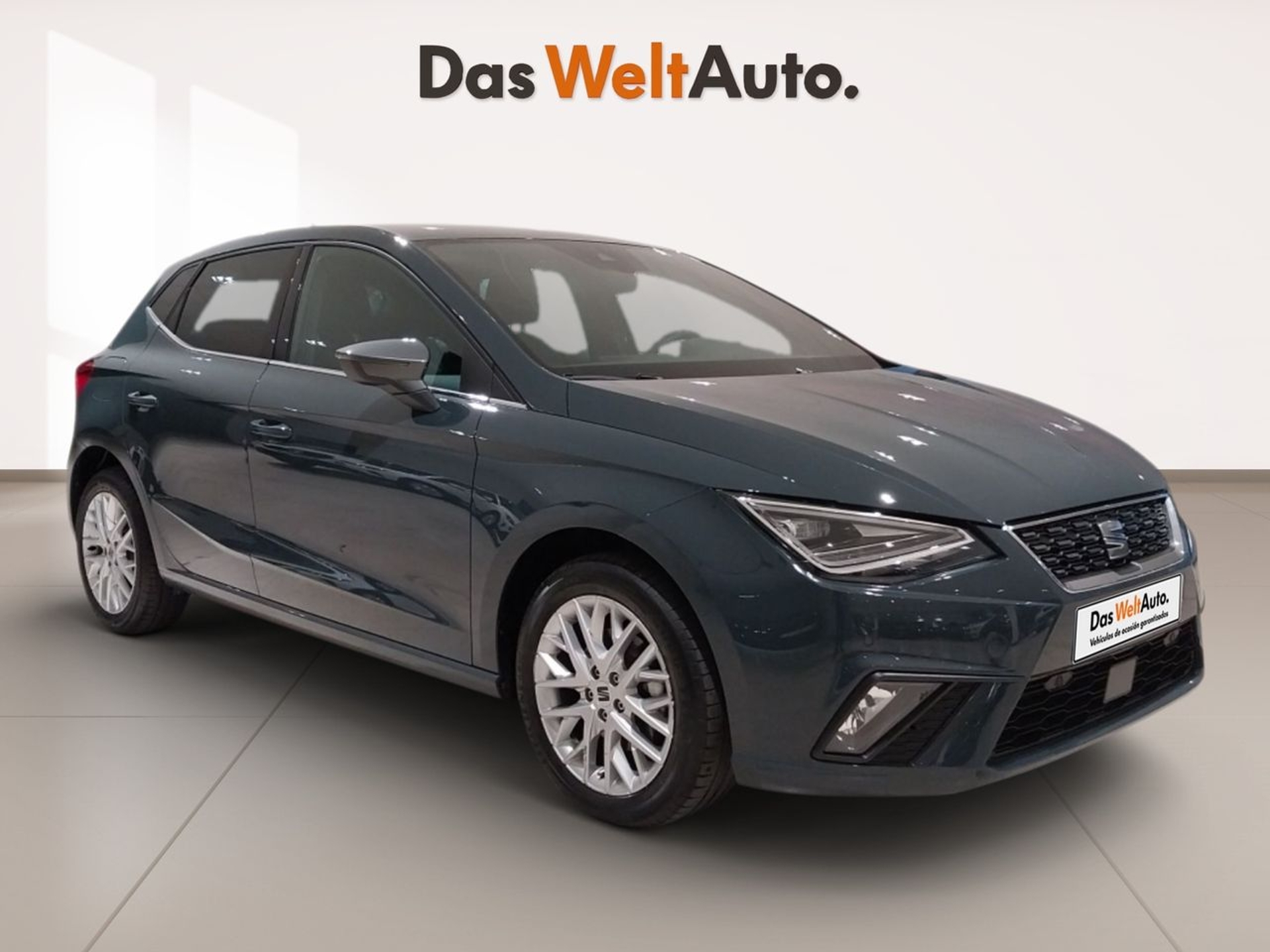 Imagen de SEAT Ibiza