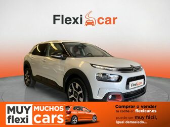 Imagen de CITROEN C4 Cactus 1.6BlueHDi S&S Business 100